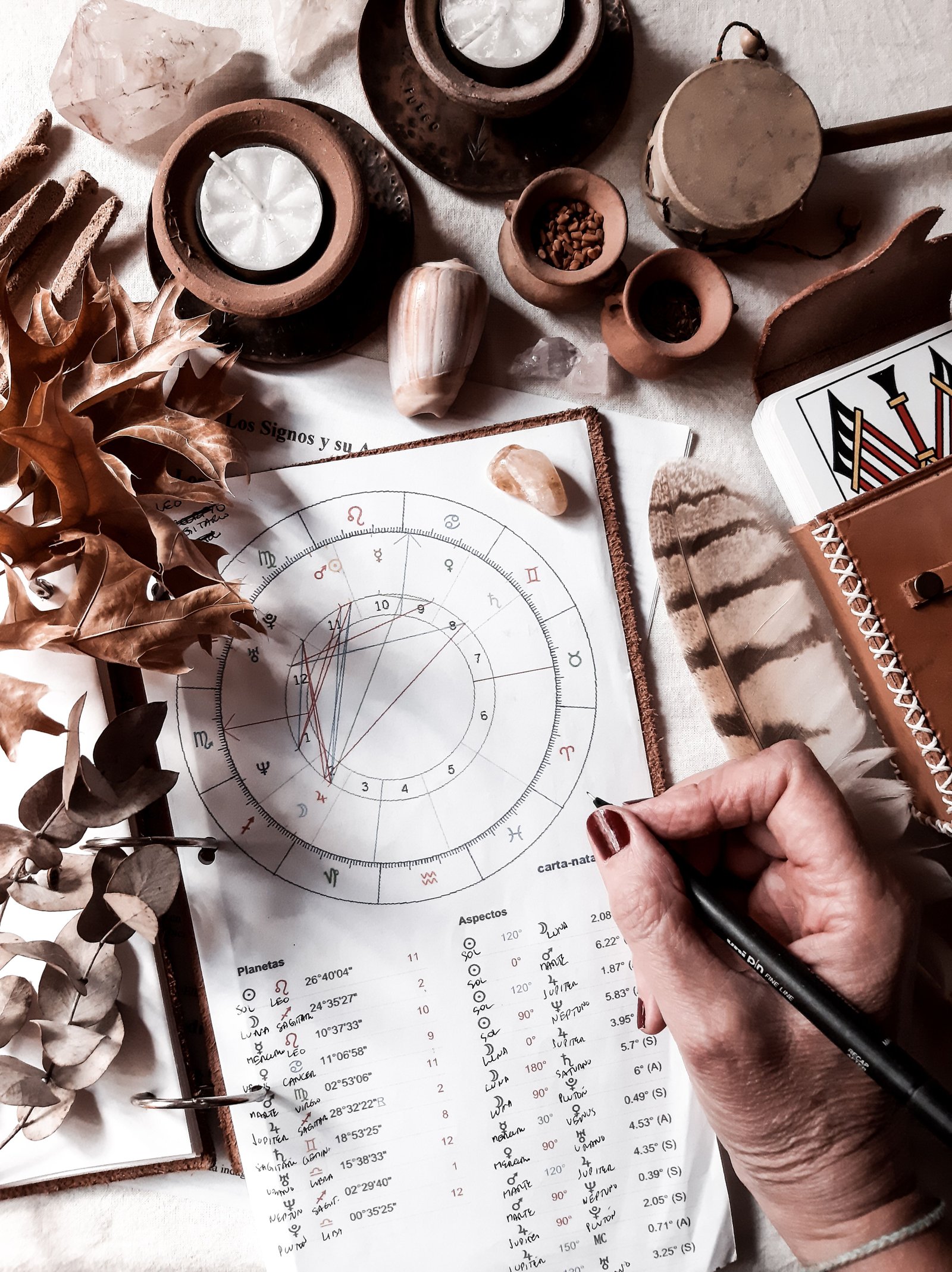 Vedic Birth Chart Reading Placeholder